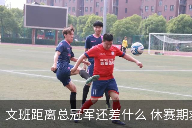 文班距离总冠军还差什么 休赛期救赎从增重开始？